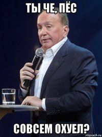 ты че, пёс совсем охуел?