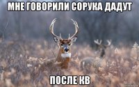 мне говорили сорука дадут после кв