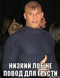  низкий лоб не повод для грусти