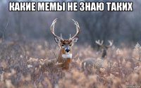 какие мемы не знаю таких 