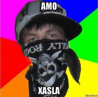 amo xasla