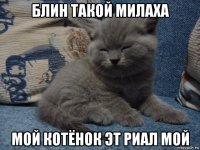 блин такой милаха мой котёнок эт риал мой
