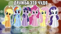 дружба это чудо 