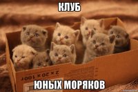 клуб юных моряков