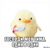  господи, моя тима, один в один