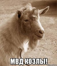 мвд козлы!