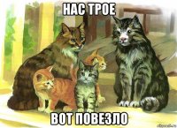 нас трое вот повезло