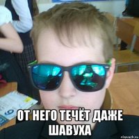  от него течёт даже шавуха
