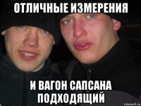 отличные измерения и вагон сапсана подходящий