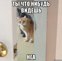 ты что нибудь видешь неа