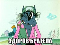  здоров братела