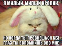 я милый, милый кролик, но когда ты проснёшься без глаз ты вспомнишь обо мне
