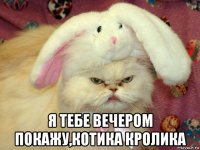  я тебе вечером покажу,котика кролика