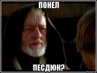 понел песдюк?