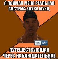 я поймал меня реальная система звука мухи, путешествующая через наблюдательное