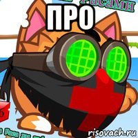 про 