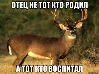 отец не тот кто родил а тот кто воспитал