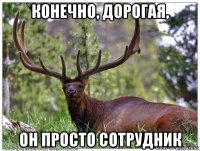 конечно, дорогая, он просто сотрудник