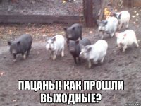  пацаны! как прошли выходные?