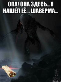 опа! она здесь...я нашёл её... шаверма... 