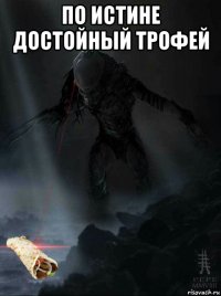по истине достойный трофей 