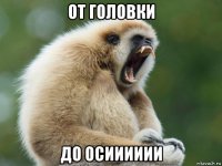 от головки до осииииии