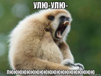 улю-улю- люююююююююююююююююююю