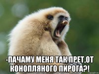  -пачаму меня так прет,от конопляного пирога?!