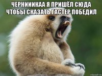 чернииикаа я пришёл сюда чтобы сказать гастер победил 