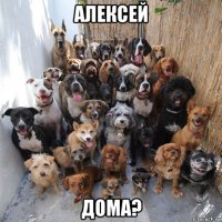 алексей дома?
