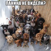 панина не видели? 