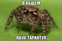 в общем паук-тарантул