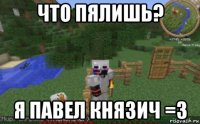 что пялишь? я павел князич =3