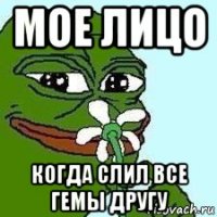 мое лицо когда слил все гемы другу