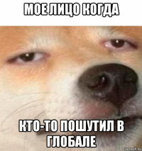 мое лицо когда кто-то пошутил в глобале