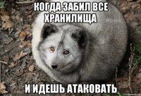 когда забил все хранилища и идешь атаковать