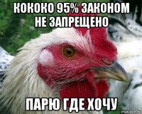 кококо 95% законом не запрещено парю где хочу