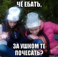 чё ебать, за ушком те почесать?