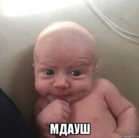  мдауш
