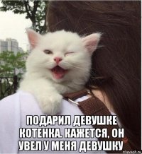  подарил девушке котенка. кажется, он увел у меня девушку