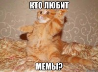 кто любит мемы?