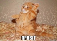  привіт