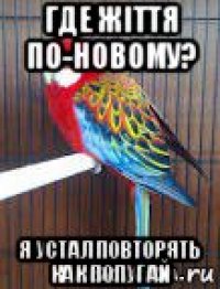 где жiття по-новому? я устал повторять как попугай