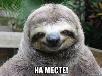  на месте!