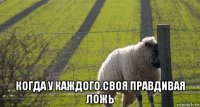  когда у каждого.своя правдивая ложь