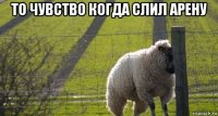 то чувство когда слил арену 