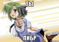 ты пибр