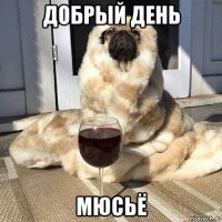 добрый день мюсьё