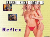 верблюжье копытце 