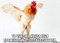  то чувство,когда тебя променяли,на голландских кур.